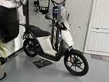 TORROT