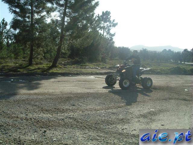 arabida_16-11-2003_(14)