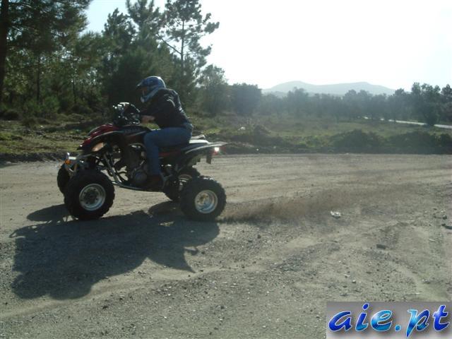 arabida_16-11-2003_(7)