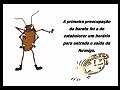 Slide7