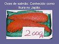 Slide13