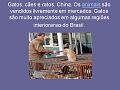 Slide15