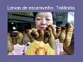 Slide7