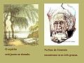 Slide17