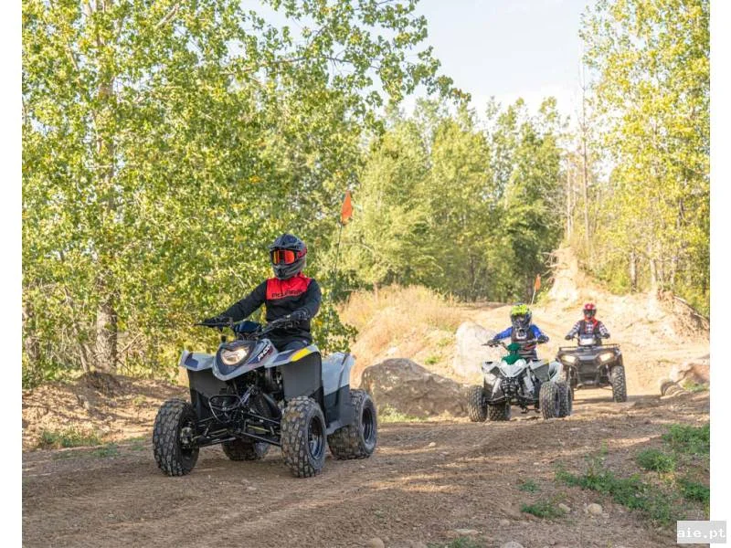 POLARIS PHOENIX 200 AVALANCHE GRAY