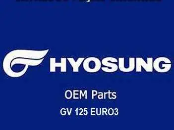 CATALOGO PEÇAS GV 125 EURO3
